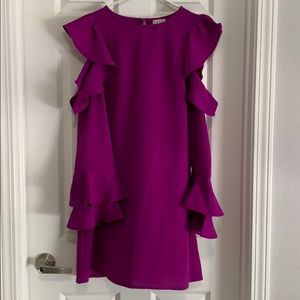 Bright Purple Ruffle/Flounce Sleeve Boutique Dress